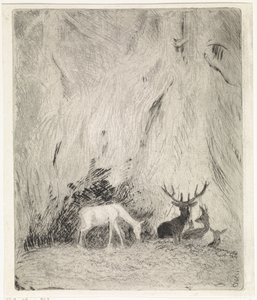 Deer in a Bohemian Forest by Johannes Tavenraat