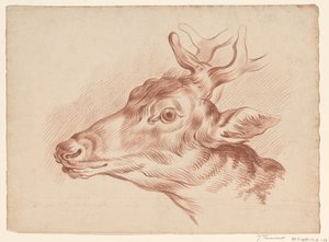 Head of a Deer, Facing Left