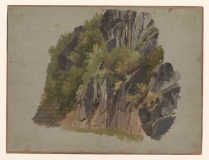 Rocks and Vegetation by Johannes Tavenraat