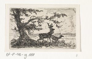 Two Deer Under a Tree