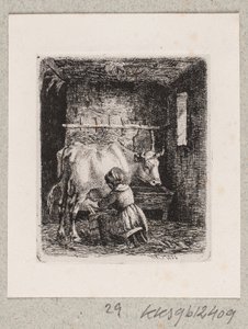 A Girl Milking a Cow