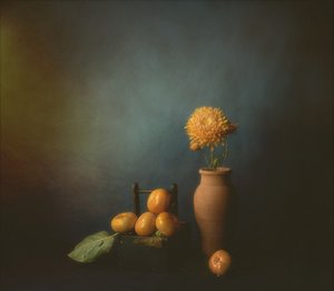 Autumn Persimmon Still Life
