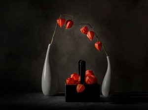 Dramatic Chinese Lanterns