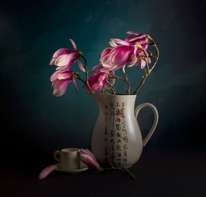 Elegant Magnolia Still Life