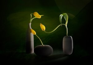 Green Yellow Floral Vases