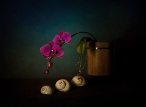 Purple Orchids Still Life
