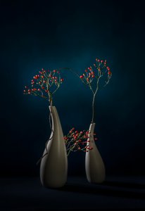 Red Berries Modern Vases