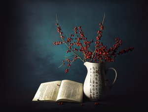 Winter Berries And Book