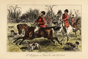 English huntsman dragged in the middle of the hounds by his headstrong horse