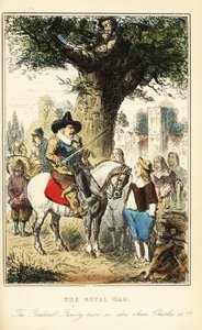 King Charles II Hiding Up an Oak Tree in Boscobel Wood, After the Battle of Worcester by John (after) Leech