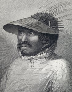 Portrait of a man from Oonalashka by John (after) Webber