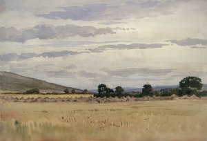 Landscape with Cornfield