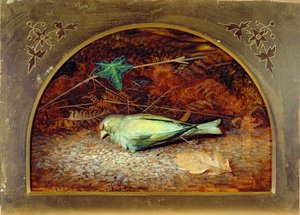 A Dead Linnet by John Atkinson Grimshaw