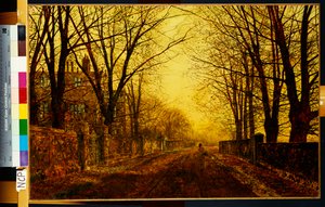 Nocturne in Gold