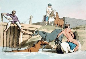Bathing Horses, etched by the artist, published 1803 by John Augustus Atkinson