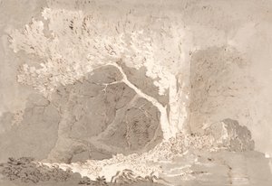 Tree Study by John Baverstock Knight