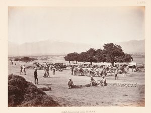 Safed Sang camp