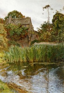 An Autumn Garden