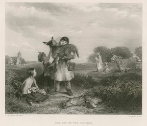 The Pet of the Common by John Callcott Horsley