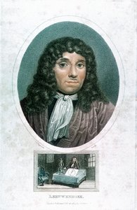 Anton van Leeuwenhoek, Dutch Microscopist by John Chapman