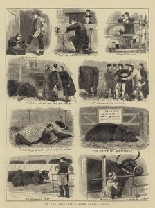 At the Smithfield Club Cattle Show by John Charles Dollman
