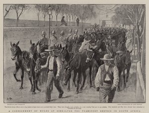 A Consignment of Mules at Gibraltar for Transport Service in South Africa by John Charlton
