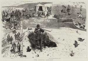 The Grouse Harvest by John Charlton