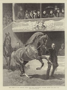 The Queen at the Islington Horse Show, the Prize-Winners parading before the Royal Box by John Charlton