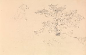 Study of a dog wearing collar and of tree branches by John Christian Schetky