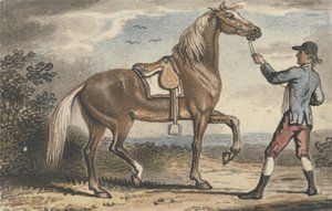 Stable Boy Holding a Horse in a Landscape by John Collet