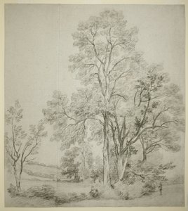 A Stand of Elm Trees (recto); A Study of East Bergholt with the Church (verso) by John Constable