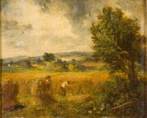 A Cornfield