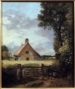 Cottage in a Wheat Field by John Constable