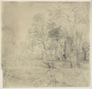 Cowdray Castle, Seen Between Trees