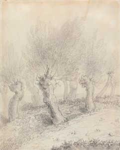 Pollarded Willows by John Constable