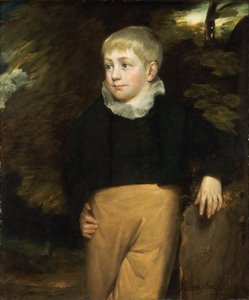 Portrait of Master Crosby