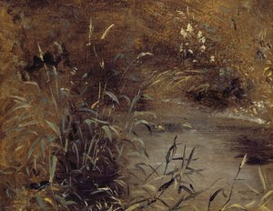 Rushes by a Pool, c.1821