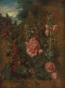 Study of Hollyhocks