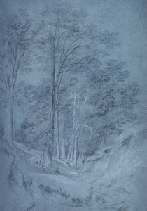 Study of ash and other trees by John Constable