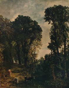 Trees Near Hampstead Church
