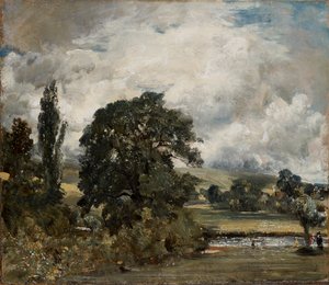 Water Meadows near Salisbury