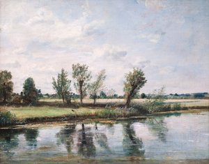 Watermeadows Near Salisbury