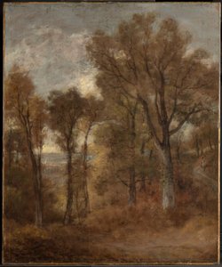 Woodland Scene Overlooking Dedham Vale by John Constable