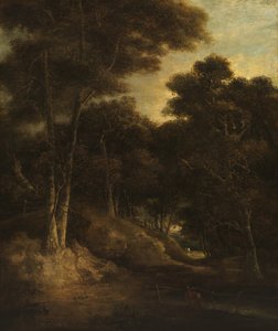 Landscape - Edge of a Wood