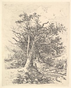 Tree Trunks and Lane by John Crome