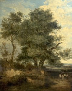 Trees by a Brook