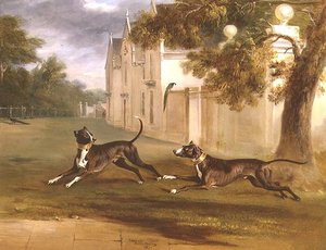 The Earl of Brownlow
