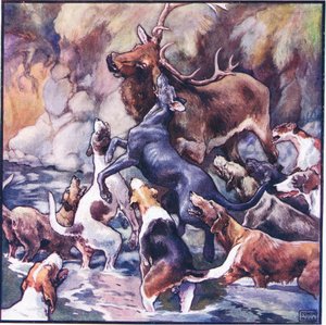A Tremendous Struggle Took Place, the Whole Pack is Upon Him