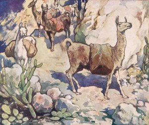 Alpacas on a mountain path, illustration from 