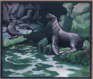 Sea Lions